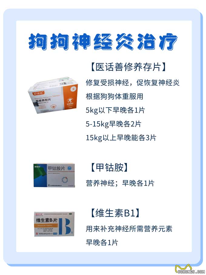 狗狗神经炎全攻略，症状+治疗+预防