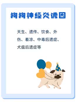 狗狗神经炎全攻略，症状+治疗+预防