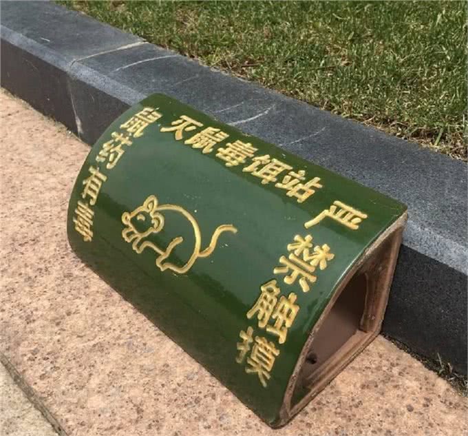 当狗狗误食有毒食物怎么办，收下这篇急救贴士，让您不再束手无策