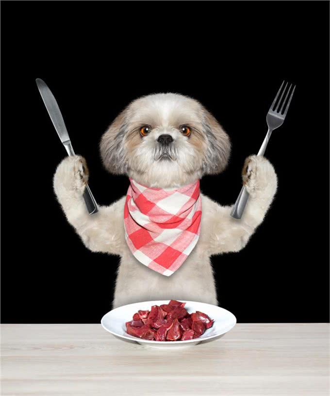 当狗狗误食有毒食物怎么办，收下这篇急救贴士，让您不再束手无策