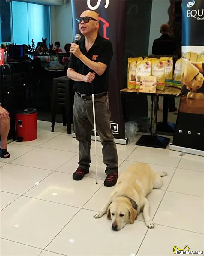 马来西亚导盲犬，直到去世都没被认可，狗狗最终遗憾离去