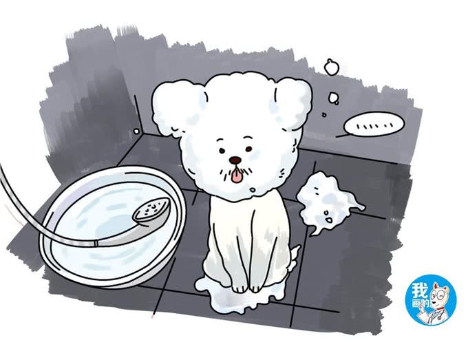 狗狗身上怎么会有螨虫?平时卫生工作做到位了吗