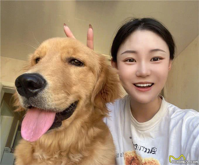 狗治百病已被科学证明了，真的没忽悠你!