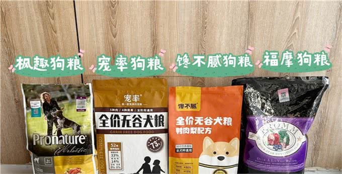狗治百病已被科学证明了，真的没忽悠你!