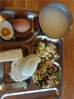 如何保护粮食，狗成为人类最忠实的朋友