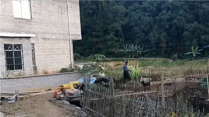 老一辈告诫：土狗不能养十年，不然必成精，究竟是为什么?