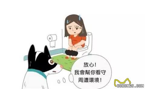 铲屎官吐槽大会:谁家狗还没个怪癖呢!