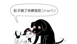 铲屎官吐槽大会:谁家狗还没个怪癖呢!