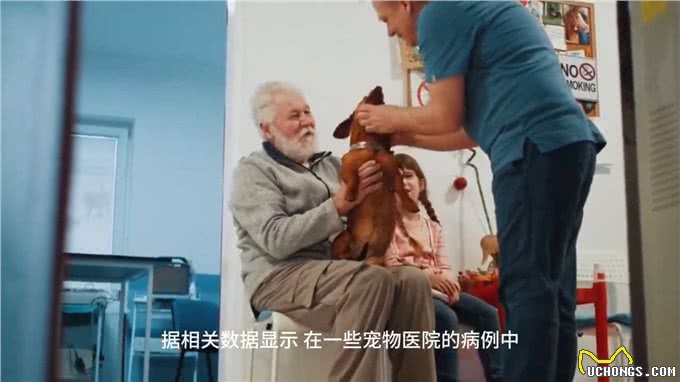 关于犬副流感病毒感染，你需要知道这些!