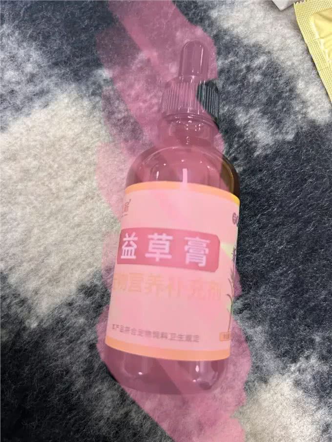 养狗需要耐心，尤其是养只母犬!