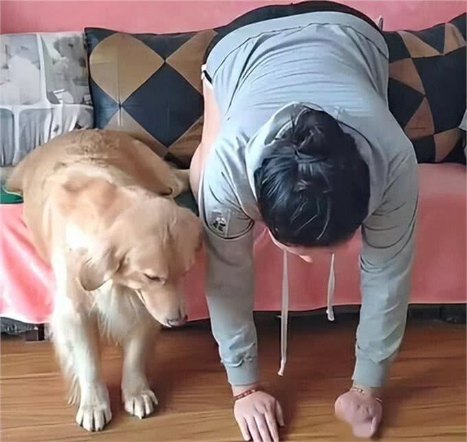 狗狗聪明与否全靠这几点!揭秘狗狗智商真相!你家狗狗符合吗?