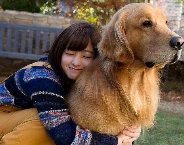 揭秘：公狗偏爱?女主人的六?大新解，?嗅觉竟成关键?