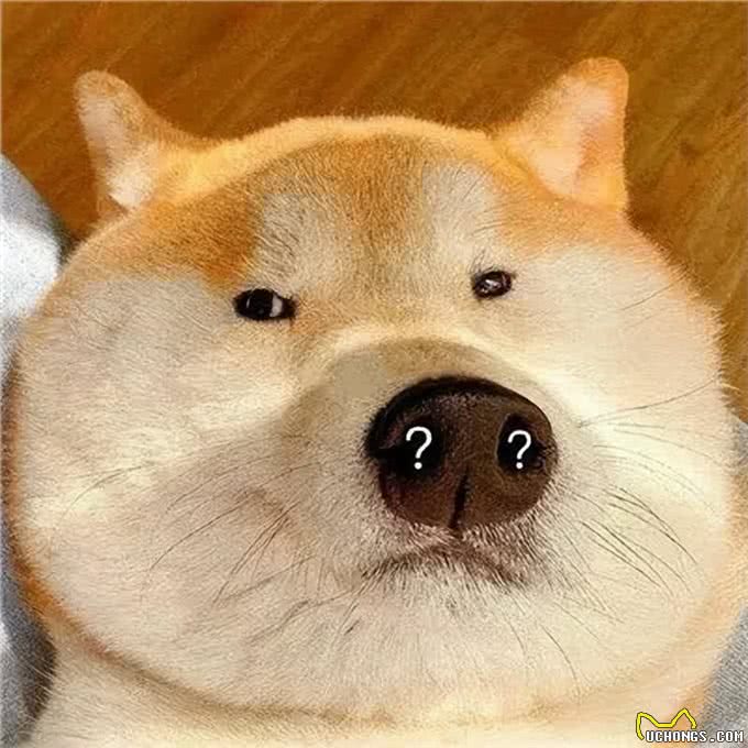 狗狗为什么要吃粑粑?