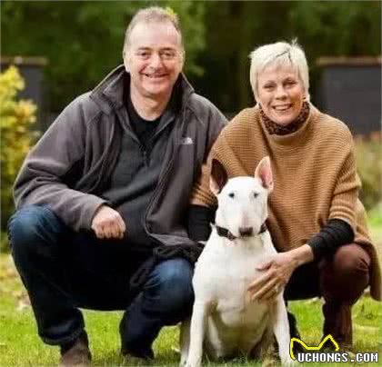 趣说狗历史|揭秘斗兽犬:狗PK狮子谁能赢?
