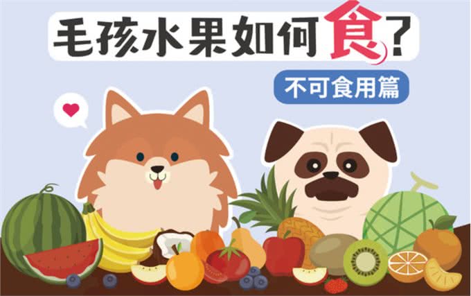 葡萄绝对是致命杀手!不可喂食狗狗的6种水果