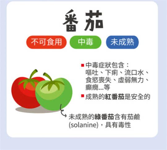 葡萄绝对是致命杀手!不可喂食狗狗的6种水果