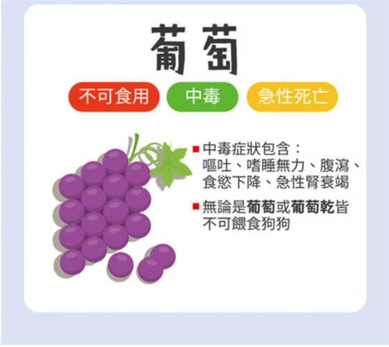葡萄绝对是致命杀手!不可喂食狗狗的6种水果
