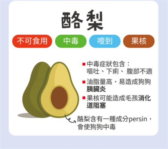 葡萄绝对是致命杀手!不可喂食狗狗的6种水果