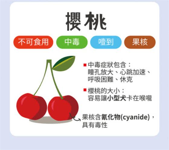 葡萄绝对是致命杀手!不可喂食狗狗的6种水果