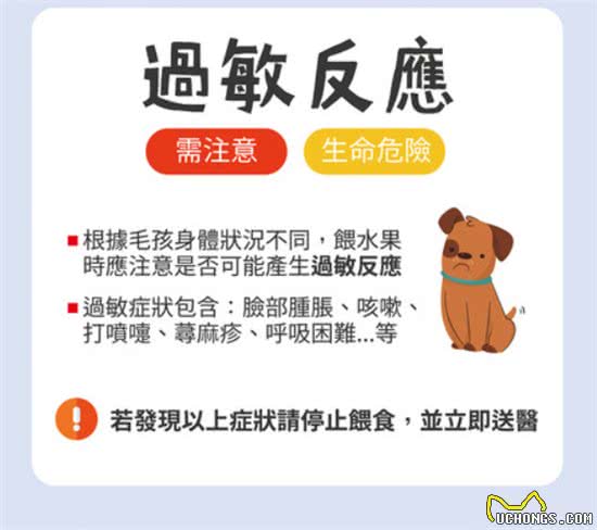 葡萄绝对是致命杀手!不可喂食狗狗的6种水果