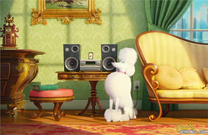 主人离家后,狗子会痴痴等待?想得美,它要先跳窗户玩一玩