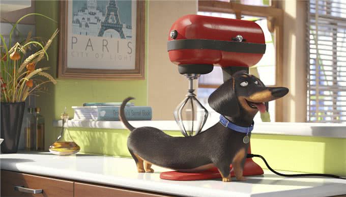 主人离家后,狗子会痴痴等待?想得美,它要先跳窗户玩一玩