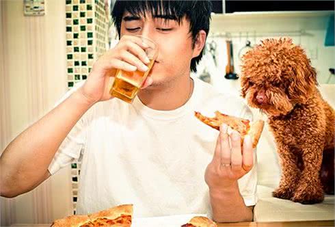 如何正确的喂狗狗和选择狗粮?自己制作狗粮可以吗?