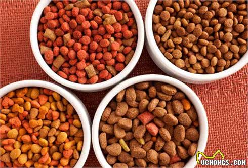 如何正确的喂狗狗和选择狗粮?自己制作狗粮可以吗?