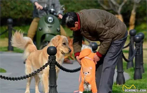 狗狗频繁打哈欠?别大意，可不仅是因为困了，还有这5种原因!