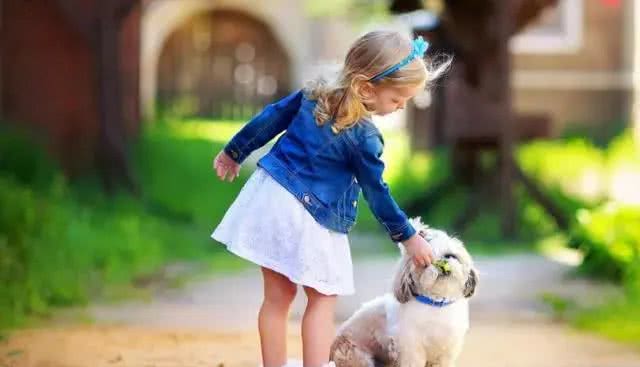 狗狗频繁打哈欠?别大意,可不仅是因为困了,还有这5种原因!