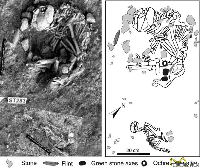 10000年，是我们驯化了猫，还是猫驯化了我们?