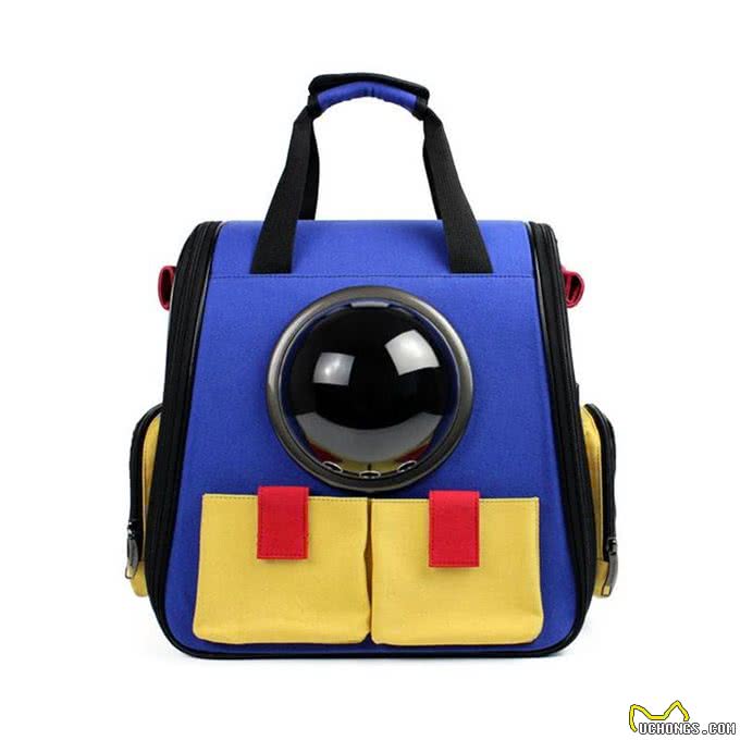 一到雨天狗狗就郁闷?你家的是不是也这样