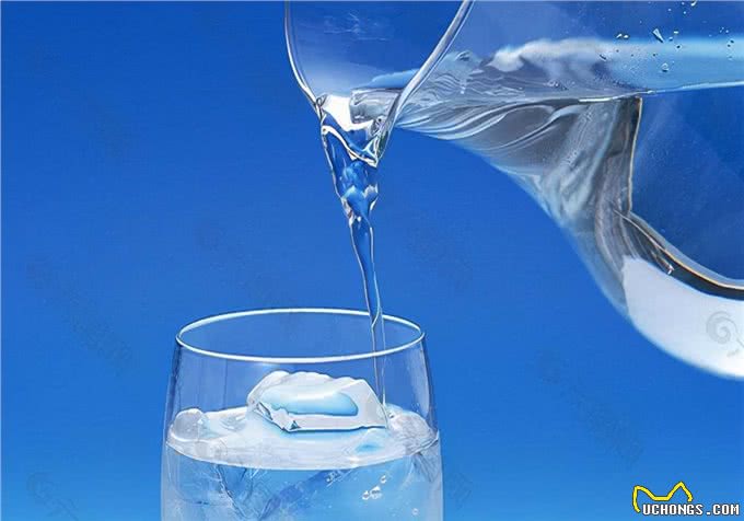 养宠:狗狗尿尿尿不出来,摆出排尿姿势却没有尿液要怎样处理?