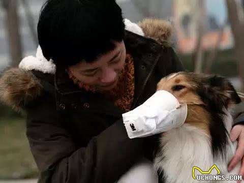 犬猫冠状病毒和新型冠状病毒的区别!犬猫该如何预防这两种病毒