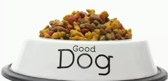 狗粮放冰箱须知，养狗常识