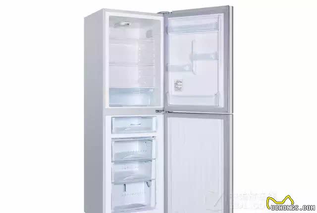 狗粮放冰箱须知，养狗常识