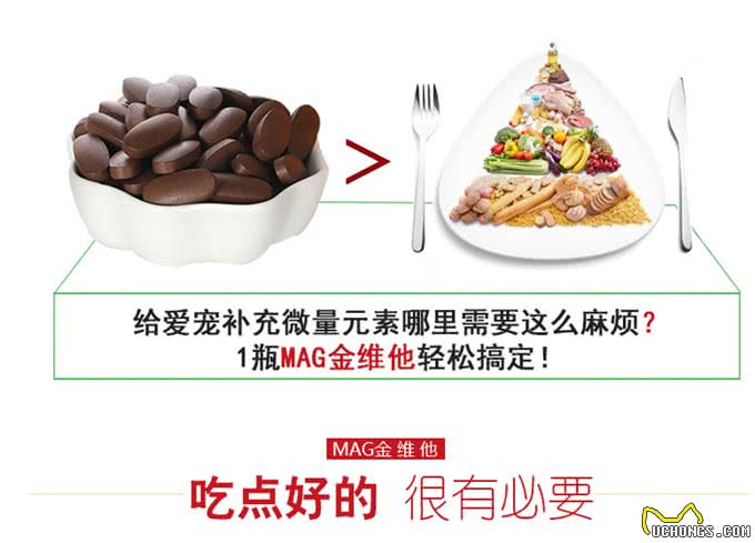 解析：狗狗成长所需的营养全在这里
