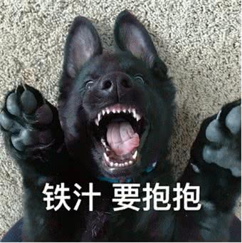 过来人告诉你:养狗就养黑色的，保证你不亏