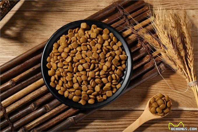 如何挑选狗粮?主要看这几点，别忽视了!