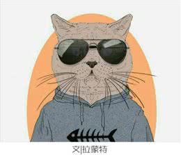 最值得养的狗狗之边牧，双商高没得挑!