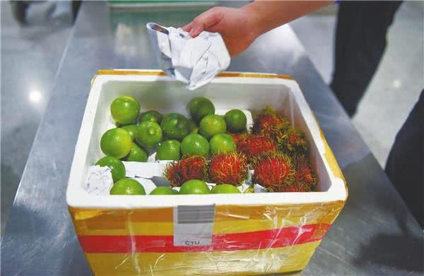 这5年我的获得感|这位对狗过敏的铲屎官让检疫犬闻名机场
