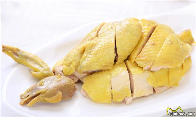 狗狗吃这些食物会中毒，普通家庭都有，一定要注意