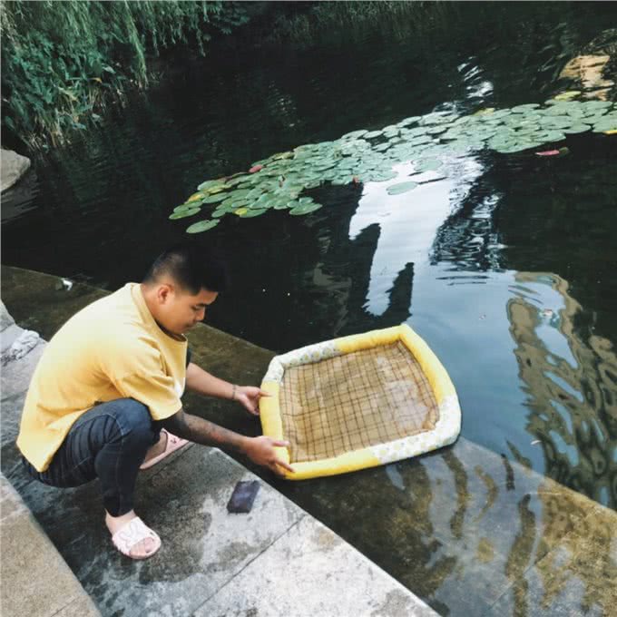 养狗多年才明白，狗狗为何这么短命，其实与这几个习惯有关