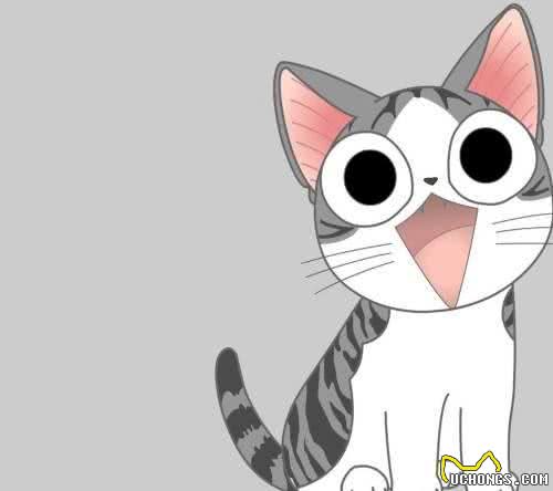 养猫教学篇，该如何选择适合自己的猫咪，猫咪品种小科普