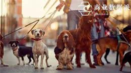 消费降级的年轻人，让宠物先奔小康