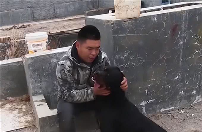 全网人仗狗势第一人，豫西小丁治理狗场的秘诀竟是一只罗威纳?