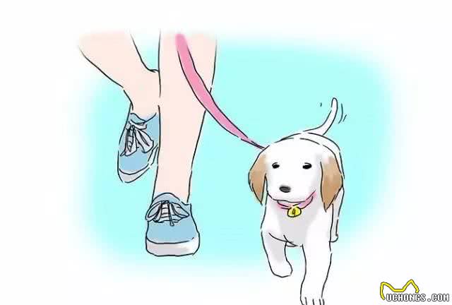 教你如何训练小狗如厕（2种方法）
