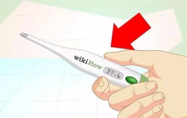 科普|给猫咪测量体温的正确方法