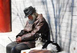 老年人有资格养狗吗?