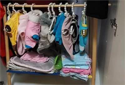 主人打开衣柜的一刻，才知道这只11岁的泰迪犬有多幸福